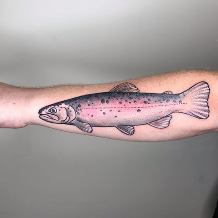 tattoos/ - Fia Rainbow Trout - 142902